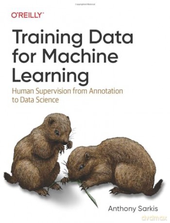 Training Data For Machine Learning - Anthony Sarkis [KSIĄŻKA]