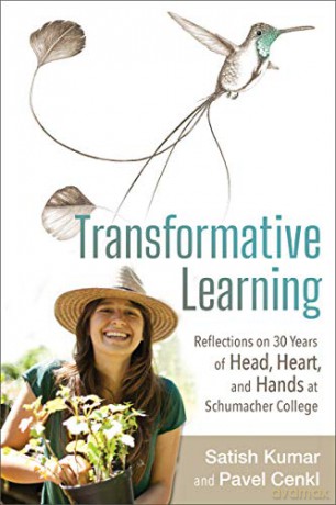 Transformative Learning [KSIĄŻKA]