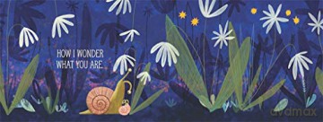 Twinkle Twinkle Little Star Light Up Bk - Florence Weiser [KSIĄŻKA]