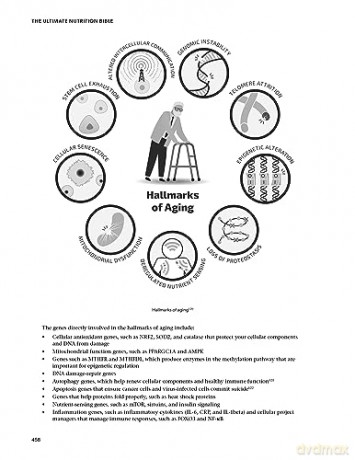 Ultimate Nutrition Bible - Matt Gallant [KSIĄŻKA]