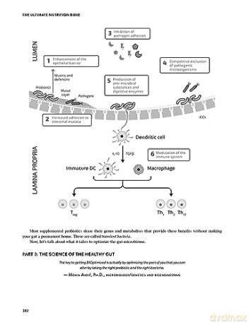 Ultimate Nutrition Bible - Matt Gallant [KSIĄŻKA]