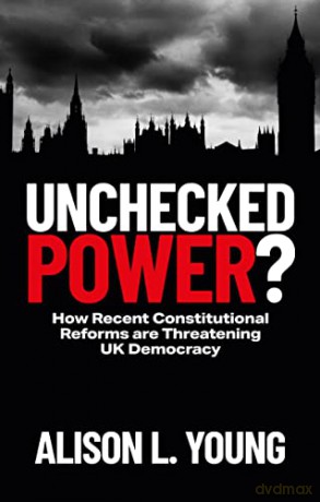 Unchecked Power - Alison L Young [KSIĄŻKA]