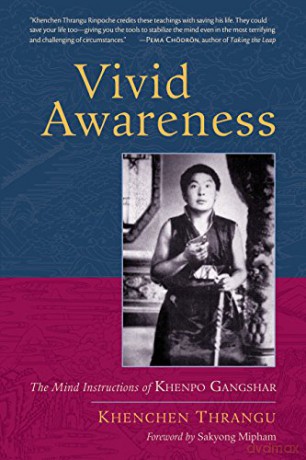 Vivid Awareness - Khenchen Thrang [KSIĄŻKA]