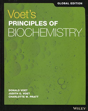 Voets Fundamentals Biochemistry [KSIĄŻKA]
