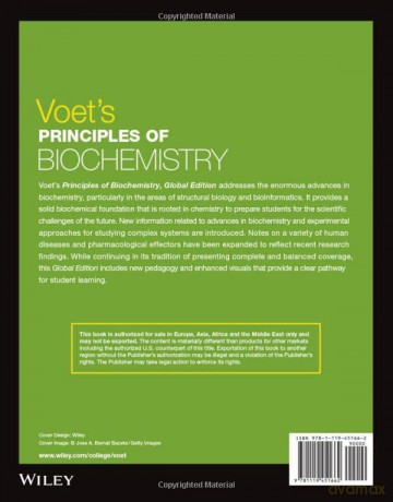 Voets Fundamentals Biochemistry [KSIĄŻKA]