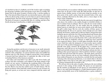 Voyage Of The Beagle - Charles Darwin [KSIĄŻKA]