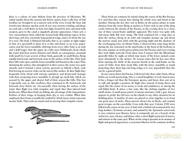 Voyage Of The Beagle - Charles Darwin [KSIĄŻKA]