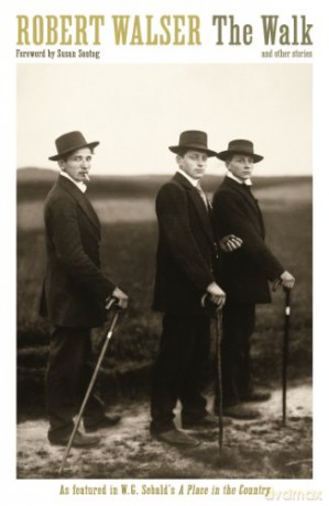 Walk - Robert Walser [KSIĄŻKA]