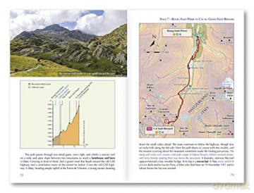 Walking The Via Francigena Pilgrim Route - Sandy Brown [KSIĄŻKA]