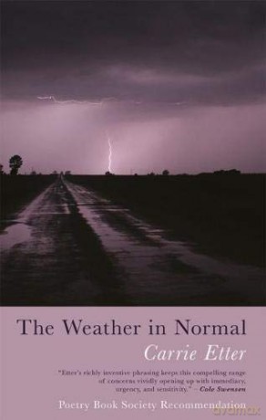 Weather In Normal - Carrie Etter [KSIĄŻKA]