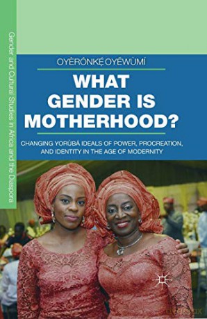 What Gender Is Motherhood - Oyewumi Oyeronke [KSIĄŻKA]
