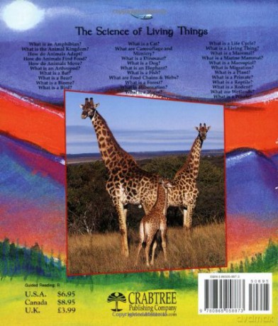 What Is A Biome [KSIĄŻKA]