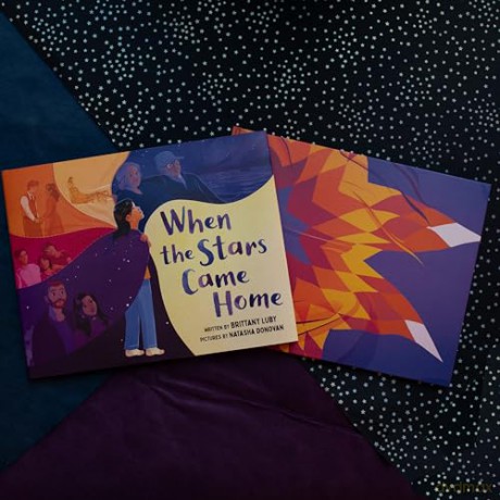 When The Stars Came Home - Brittany Luby [KSIĄŻKA]