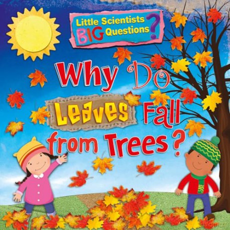 Why Do Leaves Fall From Trees - Ruth Owen [KSIĄŻKA]