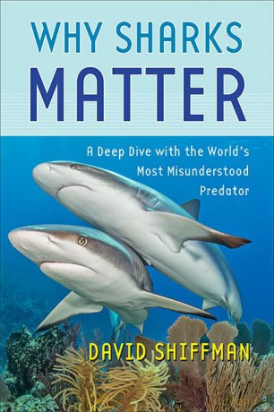 Why Sharks Matter - David Shiffman [KSIĄŻKA]