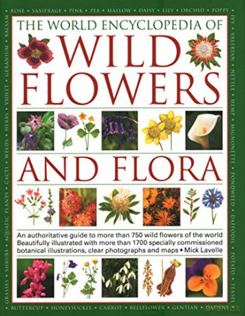 Wild Flowers Flora The World Enc - Lavelle [KSIĄŻKA]