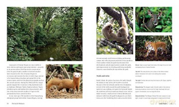 Wild Malaysia - G Et Al Davison [KSIĄŻKA]