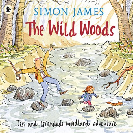 Wild Woods - Simon James [KSIĄŻKA]