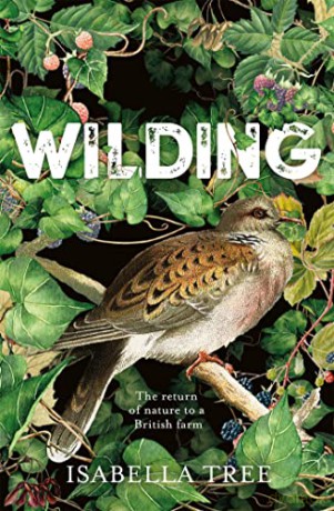 Wilding - Isabella Tree [KSIĄŻKA]