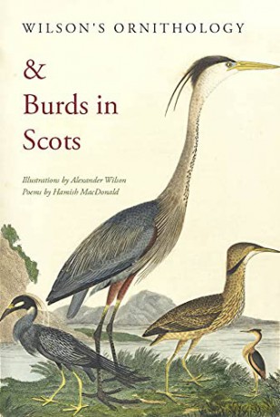 Wilson's Ornithology And Burds In Scots - Hamish Macdonald [KSIĄŻKA]