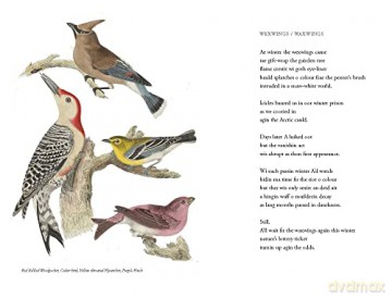 Wilson's Ornithology And Burds In Scots - Hamish Macdonald [KSIĄŻKA]