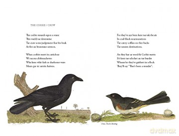 Wilson's Ornithology And Burds In Scots - Hamish Macdonald [KSIĄŻKA]