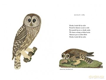 Wilson's Ornithology And Burds In Scots - Hamish Macdonald [KSIĄŻKA]