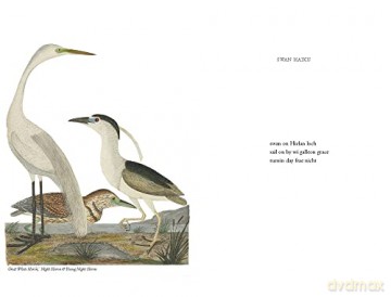 Wilson's Ornithology And Burds In Scots - Hamish Macdonald [KSIĄŻKA]