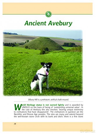 Wiltshire Dog Walkers Guide - Nigel Vile [KSIĄŻKA]