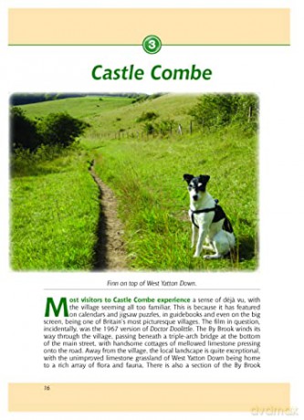 Wiltshire Dog Walkers Guide - Nigel Vile [KSIĄŻKA]