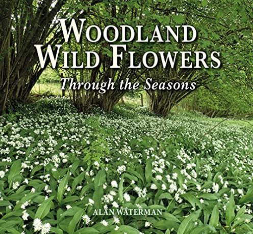 Woodland Wild Flowers - Alan Waterman [KSIĄŻKA]