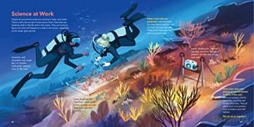 World Of Coral Reefs The - Erin Spencer [KSIĄŻKA]