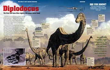 Worlds Most Amazing Dinosaurs [KSIĄŻKA]