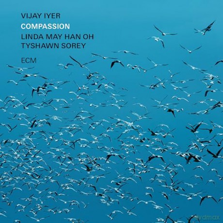 Vijay Iyer: Compassion [CD]