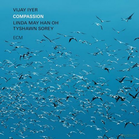 Vijay Iyer: Compassion [2xWinyl]