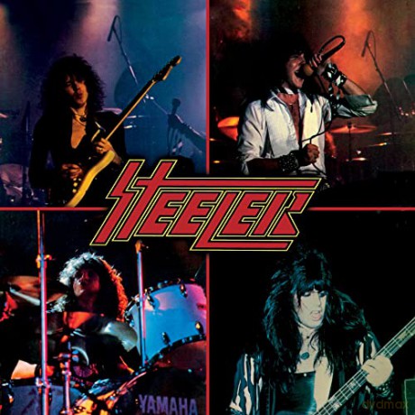 Steeler: Steeler (Indie) [Winyl]