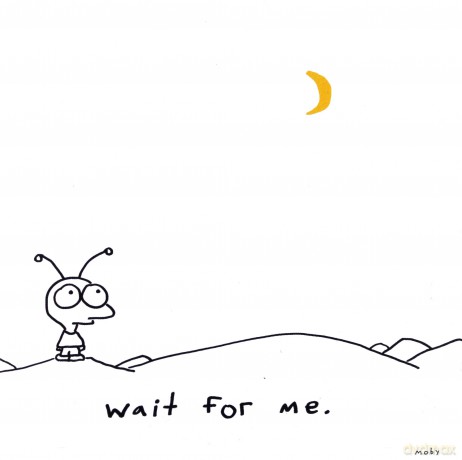 Moby: Wait For Me [CD]