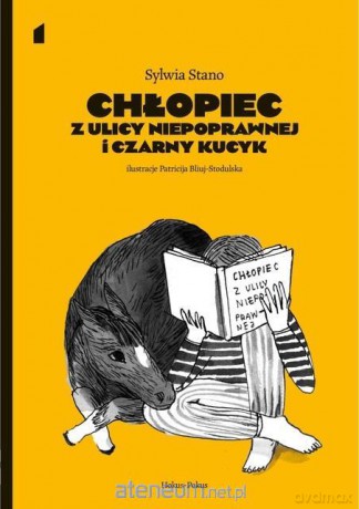 Chłopiec z ulicy Niepoprawnej i czarny kucyk - Sylwia Stano [KSIĄŻKA]