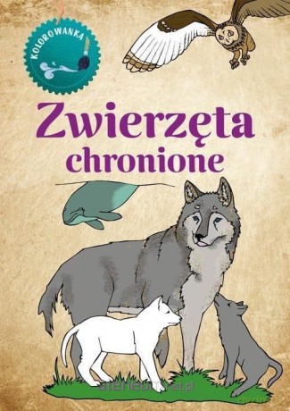 Kolorowanka Zwierzęta Chronione - Katarzyna Kopiec - Sekieta [KSIĄŻKA]