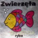 Zwierzęta. Ryba [KSIĄŻKA]