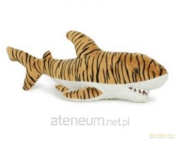Rekin tygrysi 43cm