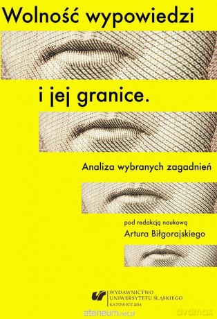 Wolność wypowiedzi i jej granice - Artur Biłgorajski [KSIĄŻKA]