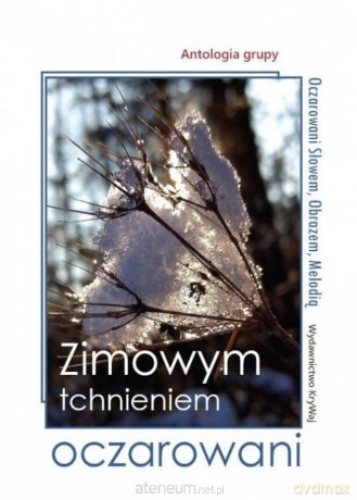 Zimowym tchnieniem oczarowani [KSIĄŻKA]