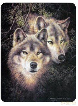Diamentowa mozaika Wilki w sosnach nocą NO-1007058