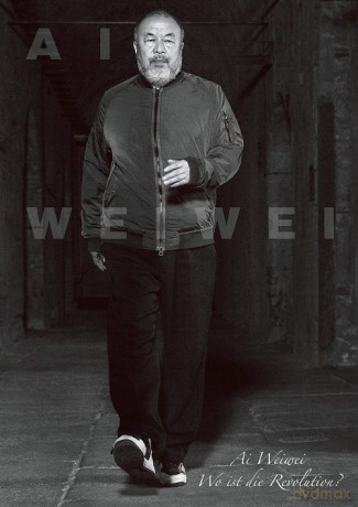 Ai Weiwei - Susanne Gaensheimer, Doris Krystof [KSIĄŻKA]