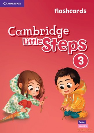 Cambridge Little Steps 3 Flashcards