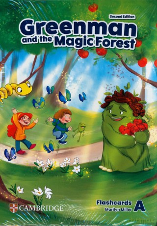 Greenman and the Magic Forest Level A Flashcards - Marilyn Miller [Książka]
