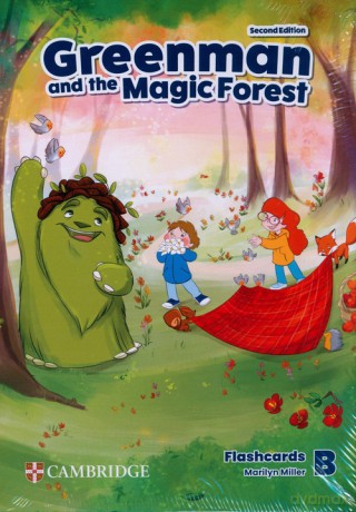 Greenman and the Magic Forest Level B Flashcards - Marilyn Miller [Książka]