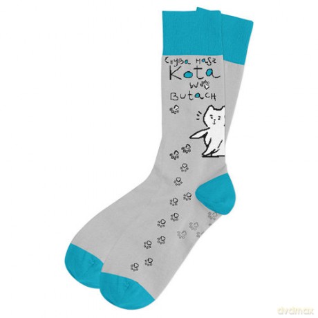 Skarpetki Kot w butach 37/41