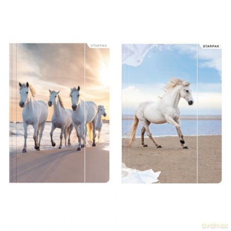 Teczka z gumką A4 Horses 10 sztuk